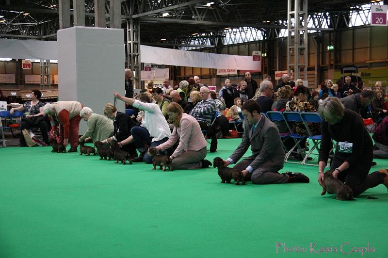 Crufts2011_2 1251.jpg